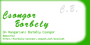 csongor borbely business card